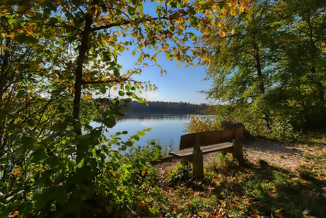 以確保活動 以確保活動