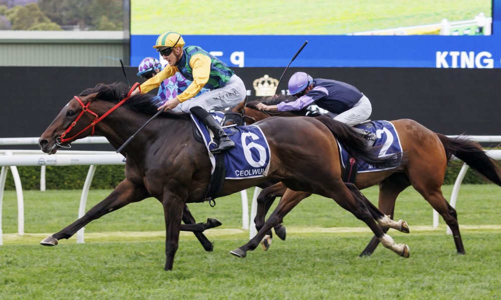 再次掌控了 再次掌控了